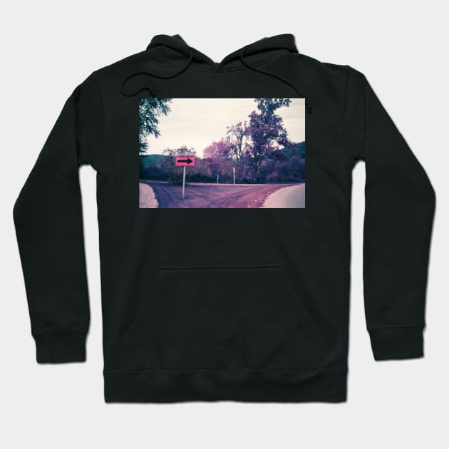 Rural Wisconsin Road LomoChrome 35mm Photograph Hoodie by ztrnorge